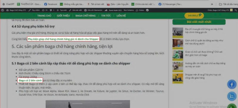 liên kết nội bộ web baga vtc